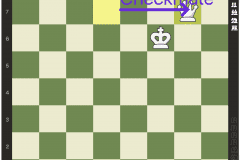 7.-Checkmate