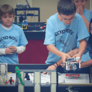 Gecko Bots FLL Team