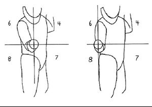 Attack lines in fencing  A drawn picture of a fencer with quadrant lines labeled 6, 4, 8, 7.